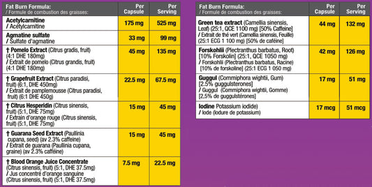 Acetylean™ | Advanced Metabolic & Energy Support Formula