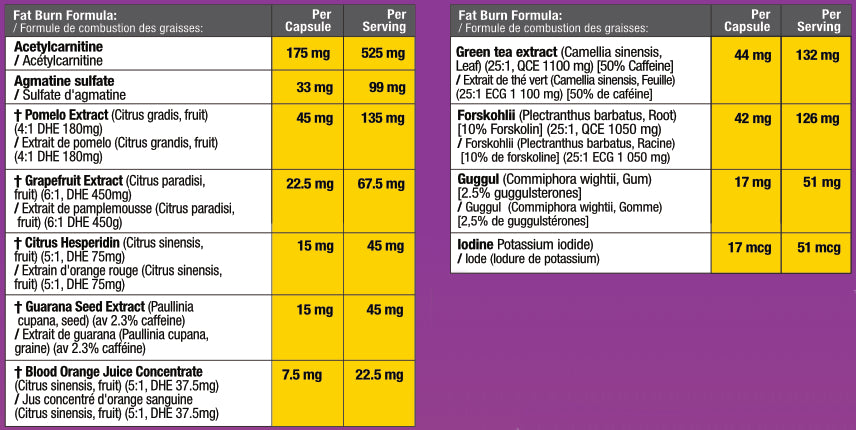 Acetylean™ | Advanced Metabolic & Energy Support Formula