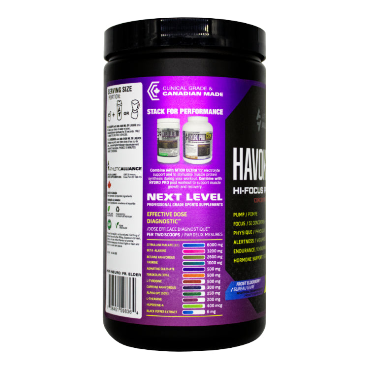 HAVOK NEURO